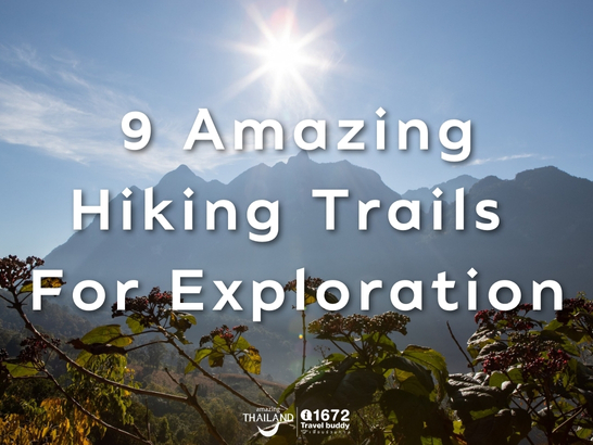 9 amazing hiking trails for you to explore